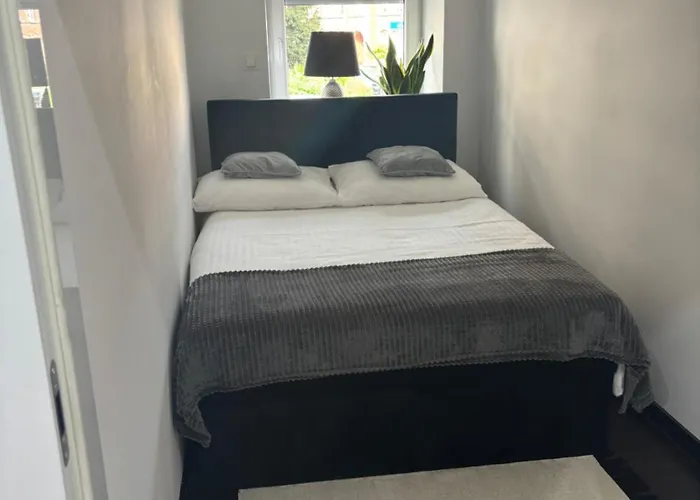 Leonardo Bolesławiec